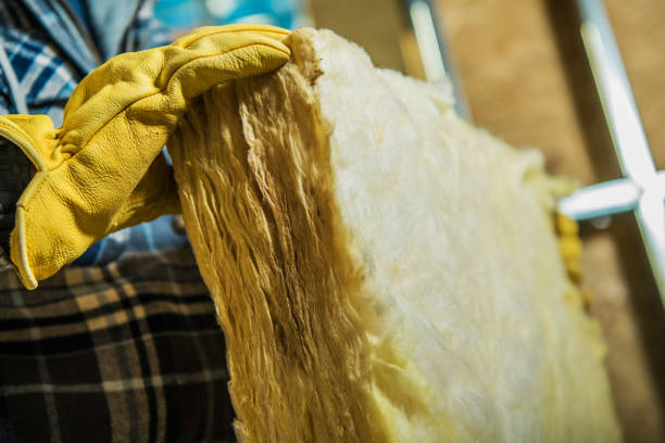 Best Insulation Contractors for Homes  in Sangaree, SC
