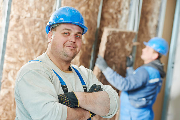 Best Home Insulation Services  in Sangaree, SC